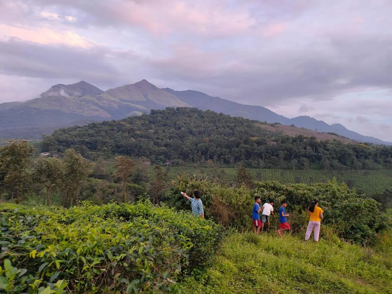 Padikkal Bunglow Vythiri