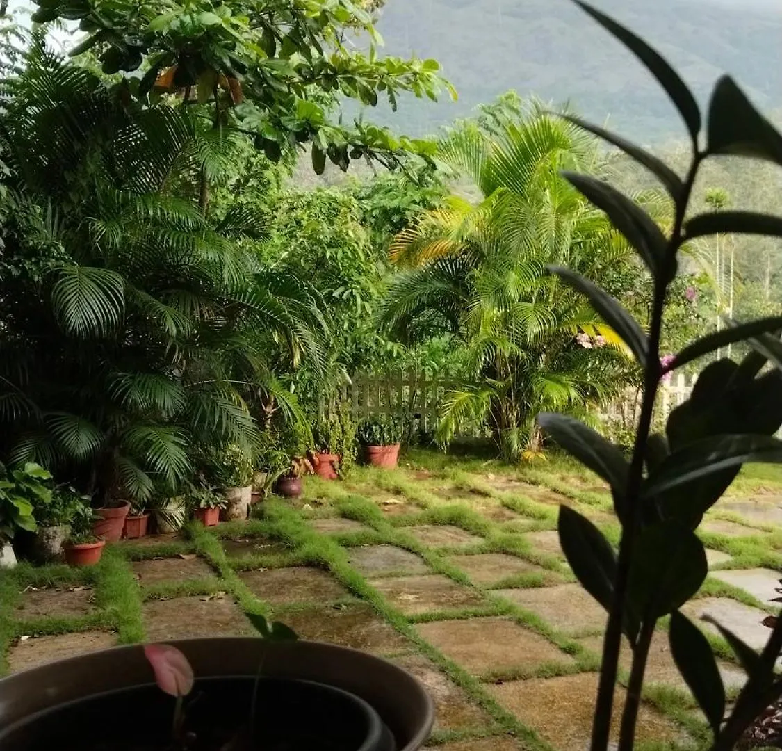 Padikkal Bunglow Vythiri Holiday home