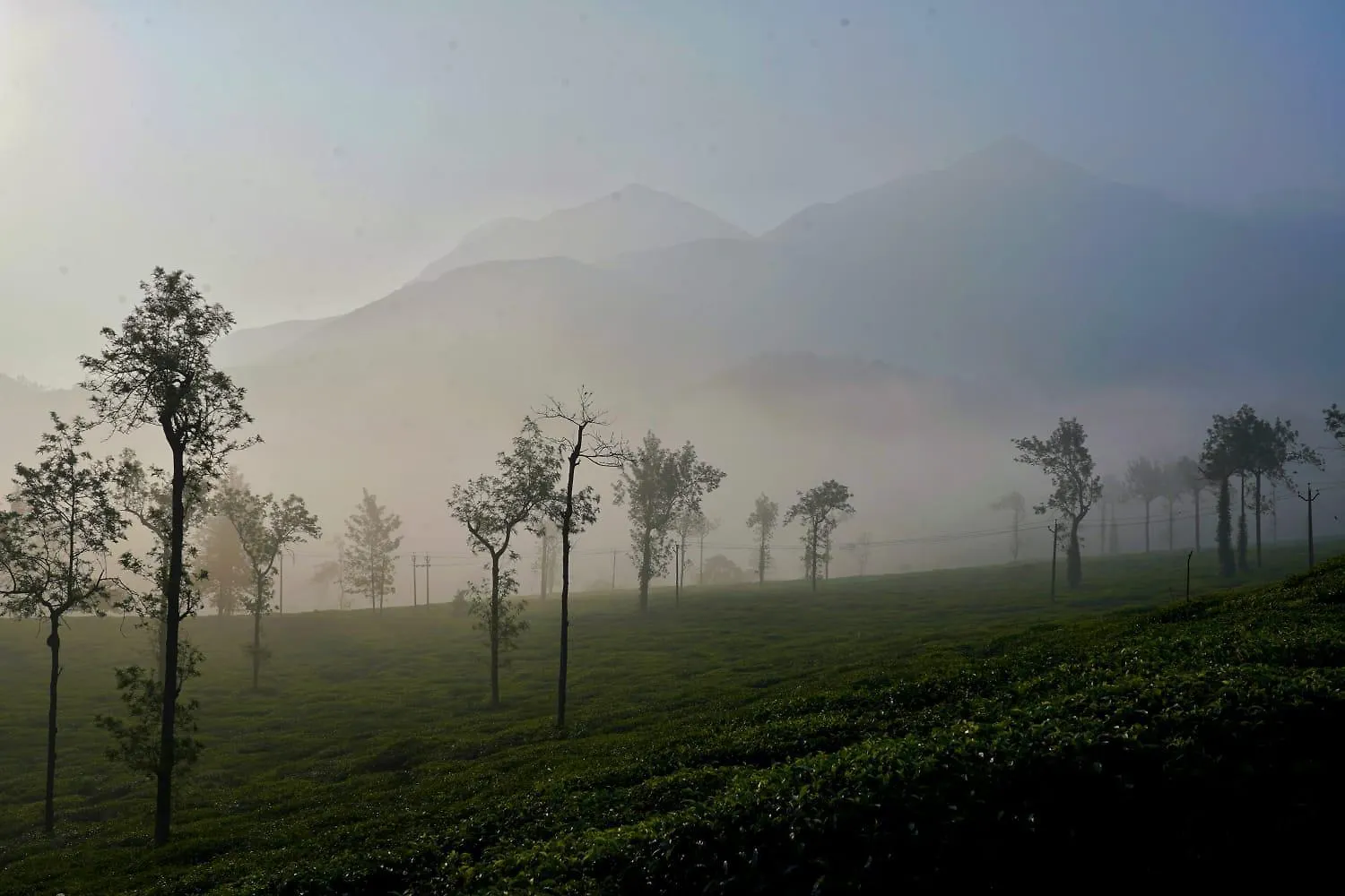 Padikkal Bunglow Vythiri 0*,  India
