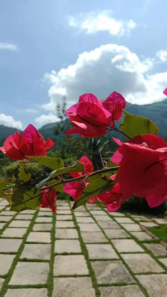 Padikkal Bunglow Vythiri India
